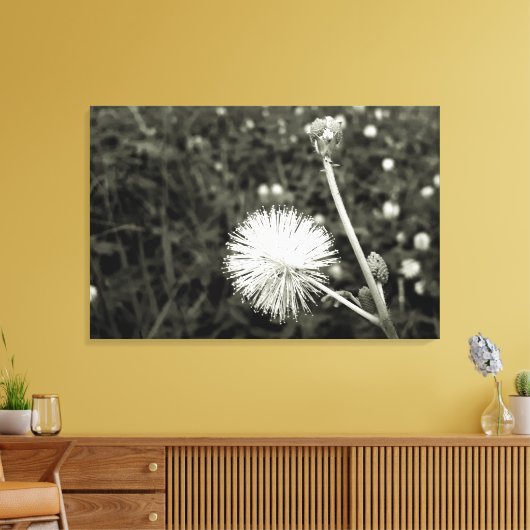 Maria fecha a porta  - Com Broto Canvas Afdruk (Insitu (Woonkamer))