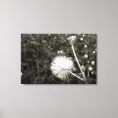 Maria fecha a porta  - Com Broto Canvas Afdruk (Voorkant)