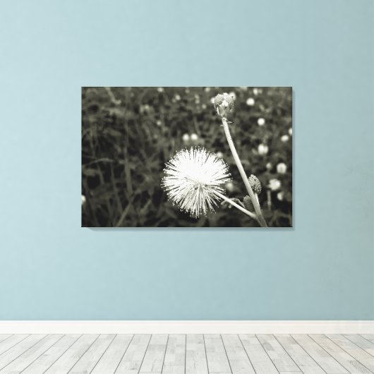 Maria fecha a porta  - Com Broto Canvas Afdruk (Insitu (Houten vloer))