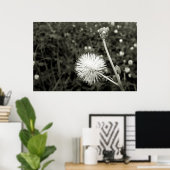 Maria fecha a porta  - Com Broto Poster (Thuiskantoor)