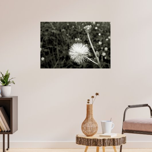 Maria fecha a porta  - Com Broto Poster (Woonkamer 3)