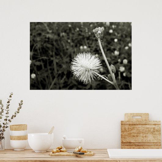 Maria fecha a porta  - Com Broto Poster (Keuken)