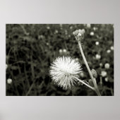 Maria fecha a porta  - Com Broto Poster (Voorkant)