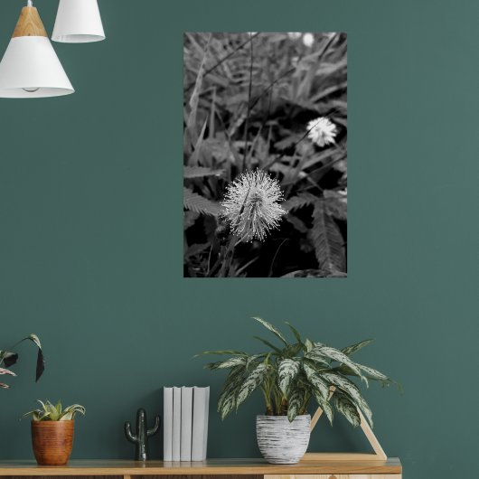 Maria-fecha-a-porta CONTRASTE Poster (Woonkamer 1)