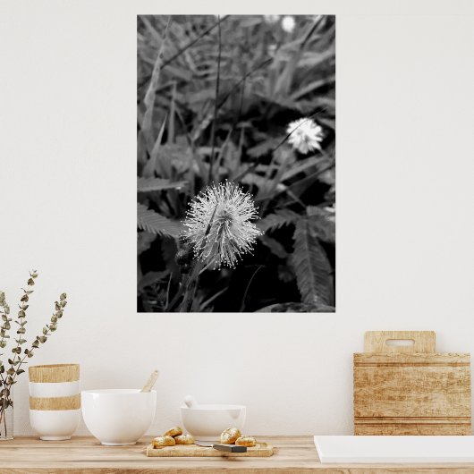 Maria-fecha-a-porta CONTRASTE Poster (Keuken)