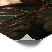 Maria-fecha-a-porta  -FILTRO Poster (Hoek)