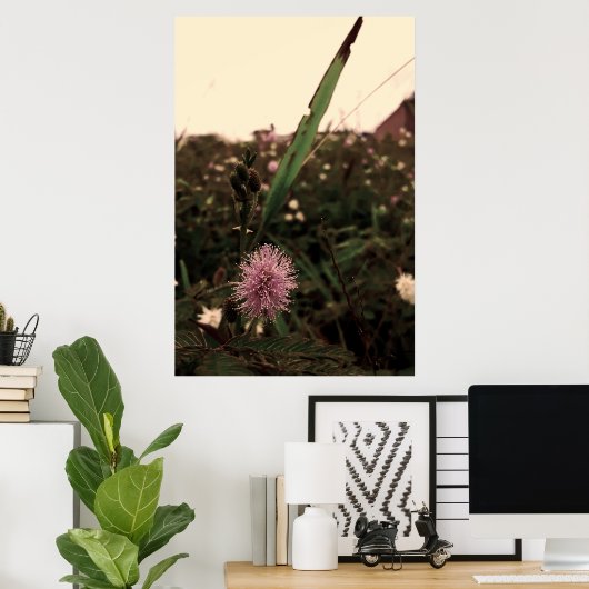 Maria-fecha-a-porta  -FILTRO Poster (Thuiskantoor)