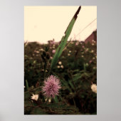 Maria-fecha-a-porta  -FILTRO Poster (Voorkant)