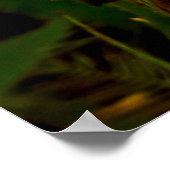 Maria-fecha-a-porta - intenso poster (Hoek)