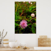 Maria-fecha-a-porta - intenso poster (Keuken)