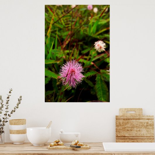 Maria-fecha-a-porta - intenso poster (Keuken)