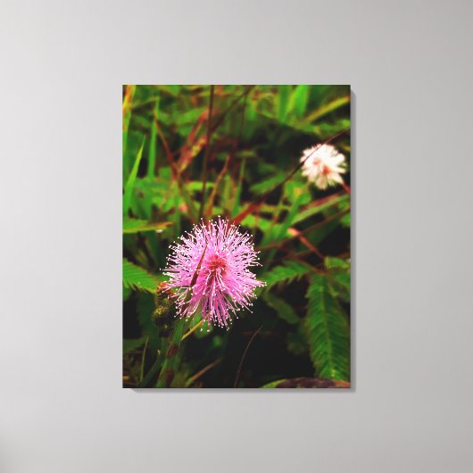 Maria-fecha-a-porta lilas canvas afdruk (Voorkant)