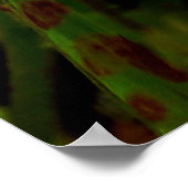 Maria-fecha-a-porta lilas poster (Hoek)