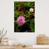 Maria-fecha-a-porta lilas poster (Keuken)