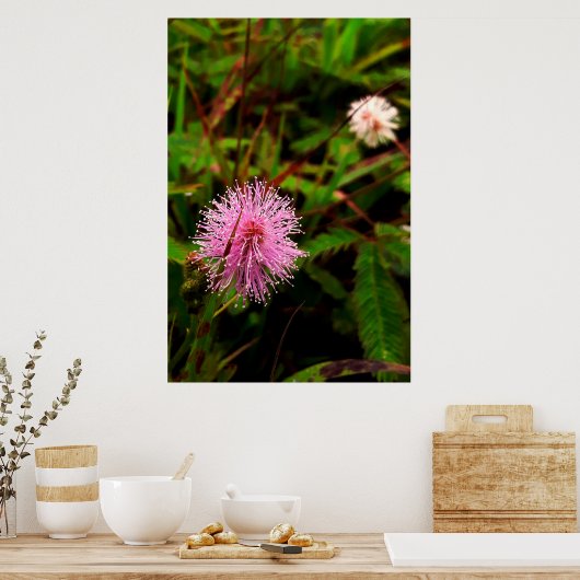 Maria-fecha-a-porta lilas poster (Keuken)