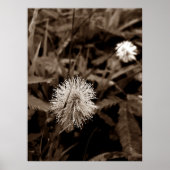 Maria-fecha-a-porta old poster (Voorkant)