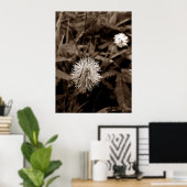 Maria-fecha-a-porta old poster (Thuiskantoor)