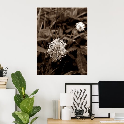 Maria-fecha-a-porta old poster (Thuiskantoor)