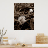 Maria-fecha-a-porta old poster (Keuken)