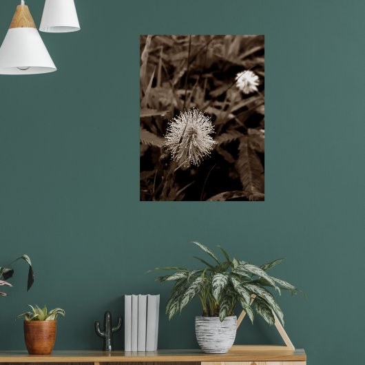 Maria-fecha-a-porta old poster (Woonkamer 1)