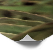 Maria-fecha-a-porta - OLD Poster (Hoek)