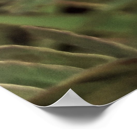 Maria-fecha-a-porta - OLD Poster (Hoek)