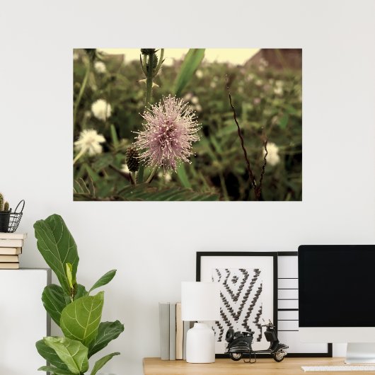 Maria-fecha-a-porta - OLD Poster (Thuiskantoor)