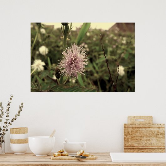 Maria-fecha-a-porta - OLD Poster (Keuken)