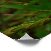 Maria-fecha-a-porta - ORIGINAL Poster (Hoek)