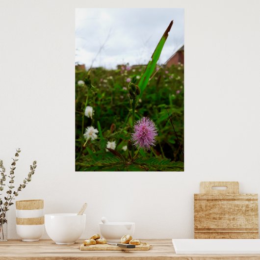 Maria-fecha-a-porta - ORIGINAL Poster (Keuken)