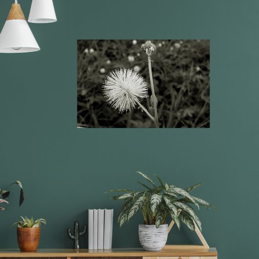 Maria-fecha-a-porta - p&b poster (Woonkamer 1)