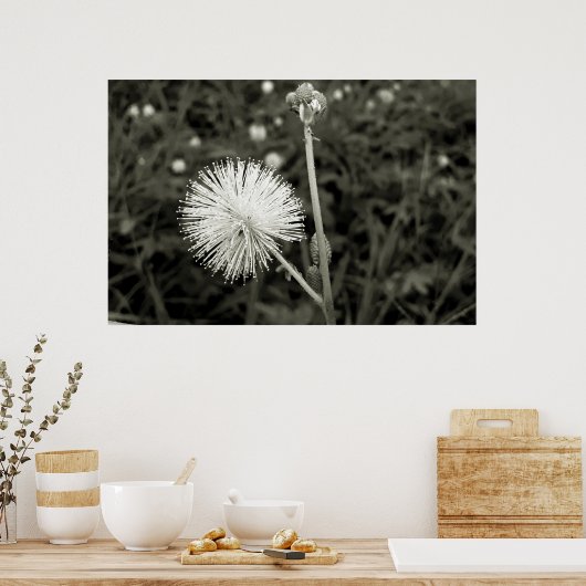 Maria-fecha-a-porta - p&b poster (Keuken)