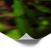 Maria-fecha-a-porta Poster (Hoek)