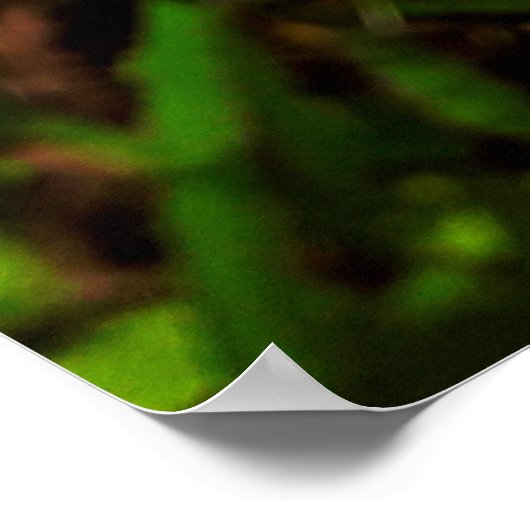 Maria-fecha-a-porta Poster (Hoek)