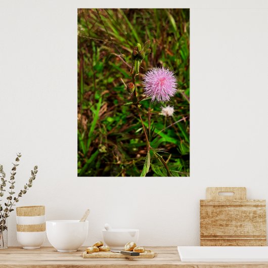 Maria-fecha-a-porta Poster (Keuken)