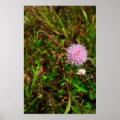 Maria-fecha-a-porta Poster (Voorkant)