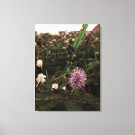 Maria-fecha-a-porta - ROSA Canvas Afdruk