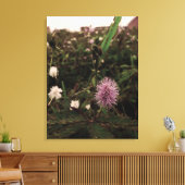 Maria-fecha-a-porta - ROSA Canvas Afdruk (Insitu (Woonkamer))