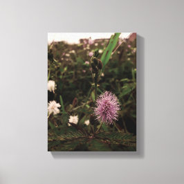 Maria-fecha-a-porta - ROSA Canvas Afdruk