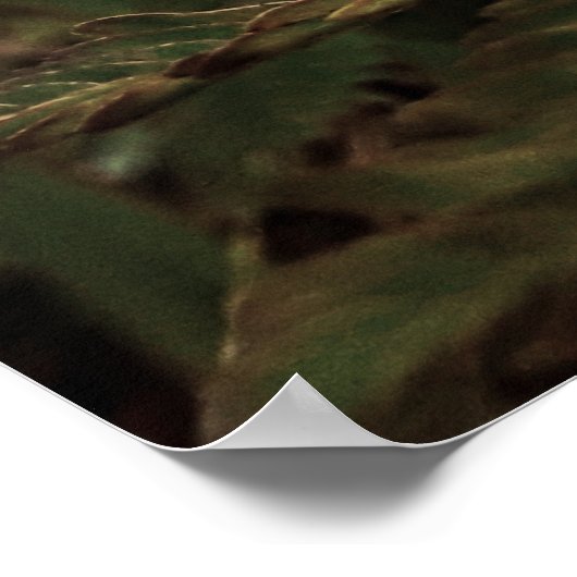 Maria-fecha-a-porta - ROSA Poster (Hoek)