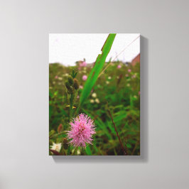 Maria-fecha-a-porta - VERTICAL Canvas Afdruk