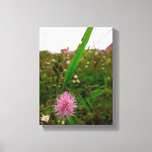 Maria-fecha-a-porta - VERTICAL Canvas Afdruk (Voorkant)
