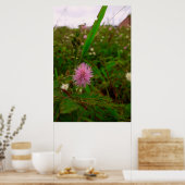 Maria-fecha-a-porta - VERTICAL Poster (Keuken)