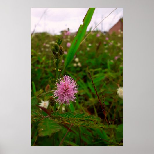 Maria-fecha-a-porta - VERTICAL Poster (Voorkant)