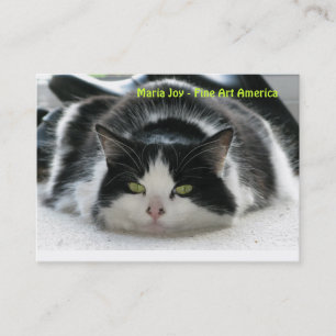 Maria Joy - Fijne Kunst Amerika.. Visitekaartje