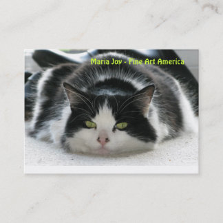 Maria Joy - Fijne Kunst Amerika.. Visitekaartje
