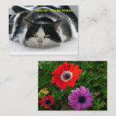 Maria Joy - Fijne Kunst Amerika.. Visitekaartje (Voorkant / Achterkant)