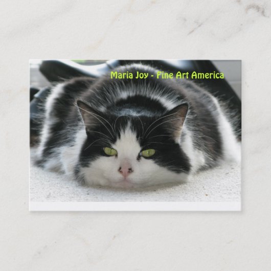 Maria Joy - Fijne Kunst Amerika.. Visitekaartje (Voorkant)