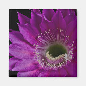 Maria Piazza blooms Magneet (Voorkant)