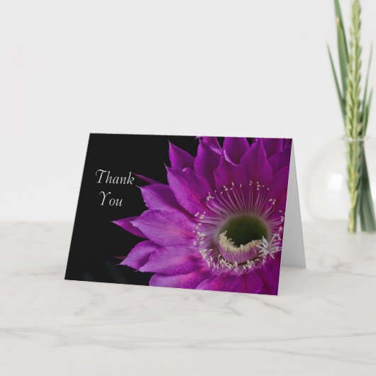 Maria Piazza cactus bloom Dank u Bedankkaart (Voorkant)